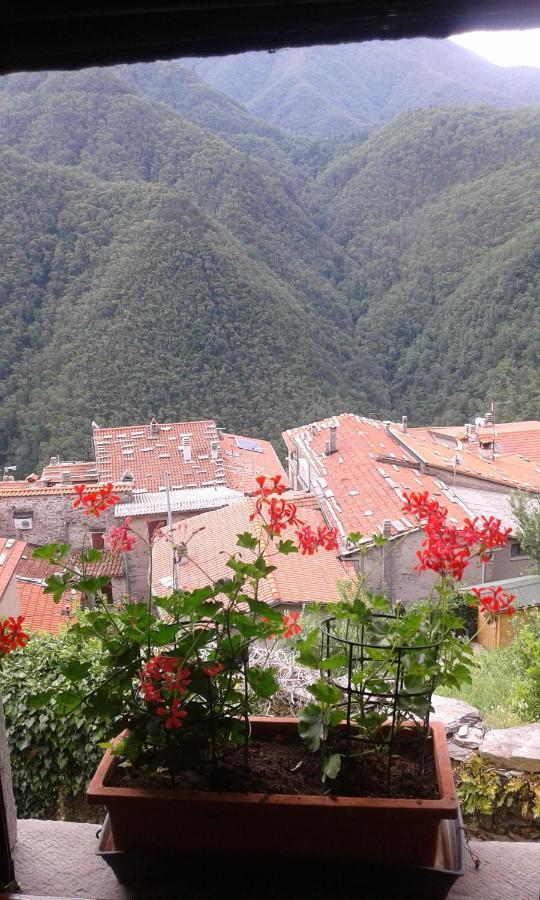 Casa Poggio Delle Farfalle Stazzema Ngoại thất bức ảnh